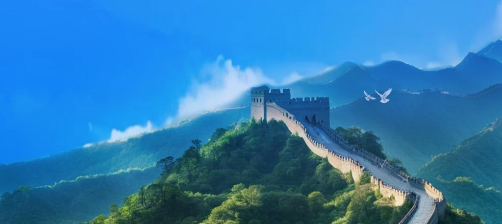 江苏省电子税务局与全国统一办税服务终端实景
